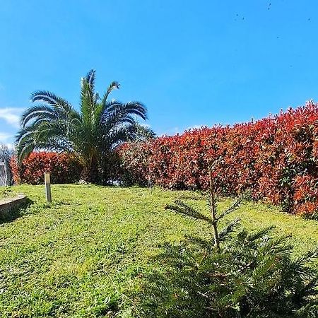 La Bella Addormentata Bed & Breakfast Киети Екстериор снимка
